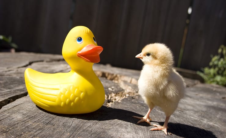 How authenticity becomes your personal brand